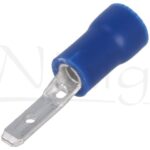 Papuc 2.8mm tata albastru izolat